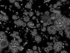 chlamydia a niepłodność